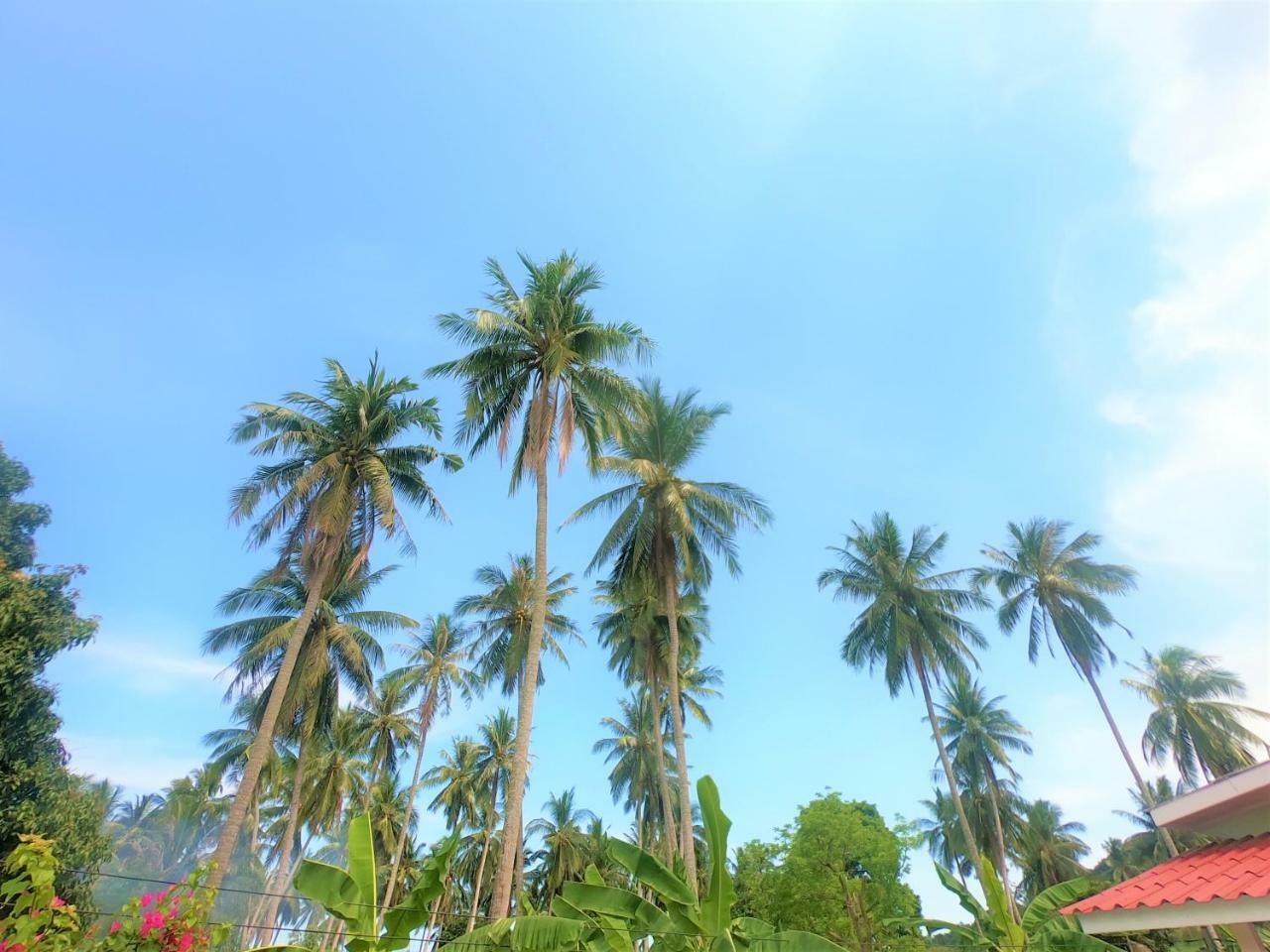 Wirason Villa Pool Maret المظهر الخارجي الصورة